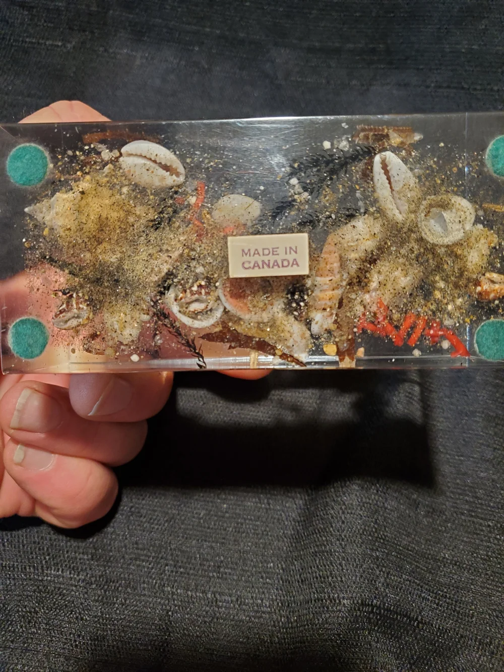 Vintage Mid-Century Canadian Lucite Seahorse Acrylic Block Paperweight
